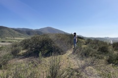 IMG_4421